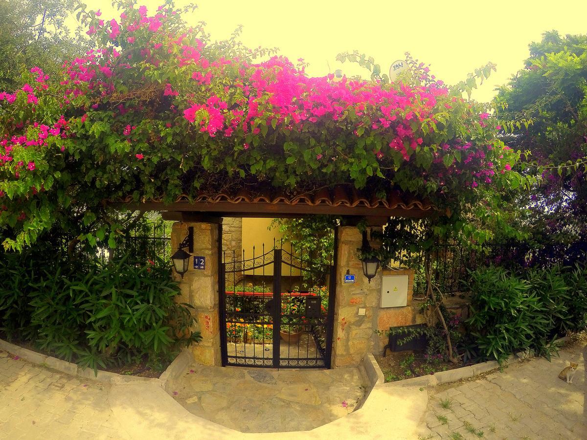 Villa Cosy Yalıkavak Εξωτερικό φωτογραφία