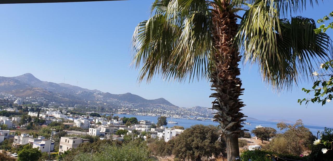 Villa Cosy Yalıkavak Εξωτερικό φωτογραφία